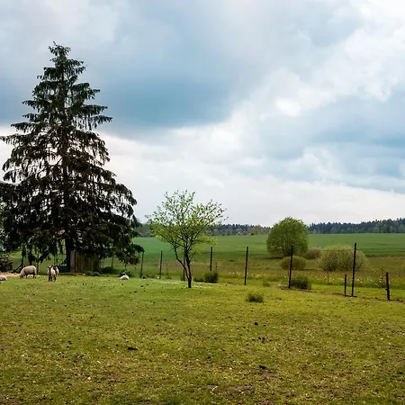 U Kostela Pensionat Mláka