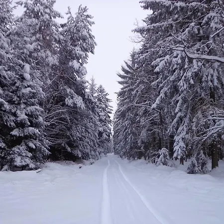 Penzion U Kostela 3*