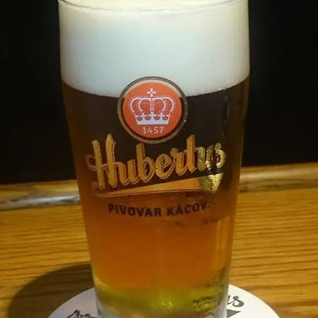 Pensionat U Kostela Mláka