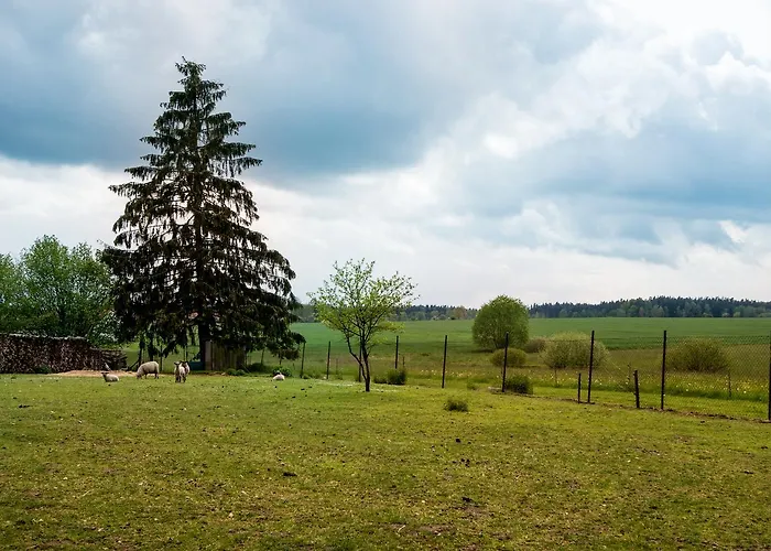 U Kostela Penzion Mláka