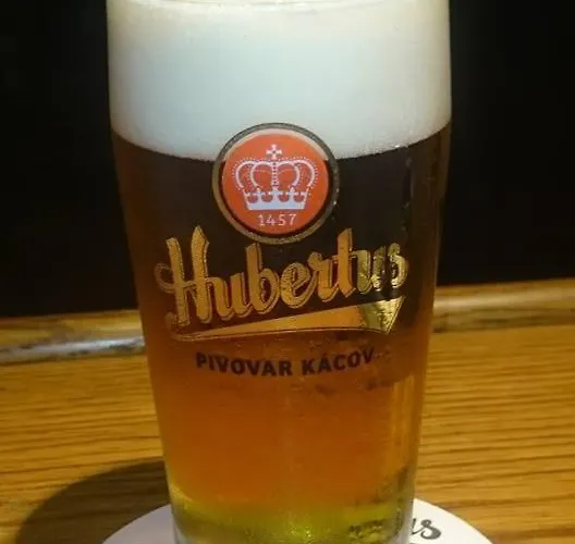 Penzion U Kostela Mláka